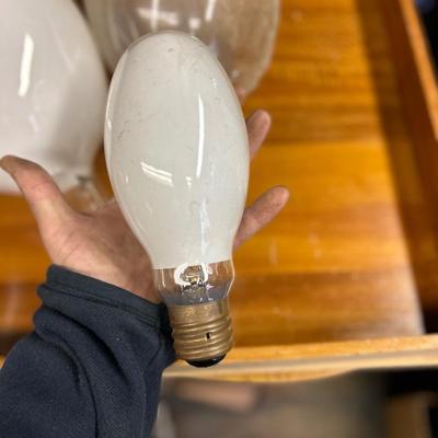 Lot of 4 large lightbulbs