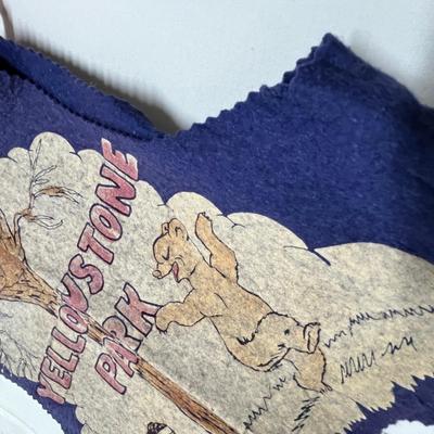 OMG YELLOWSTONE 1950s Vests & Indian Head dress