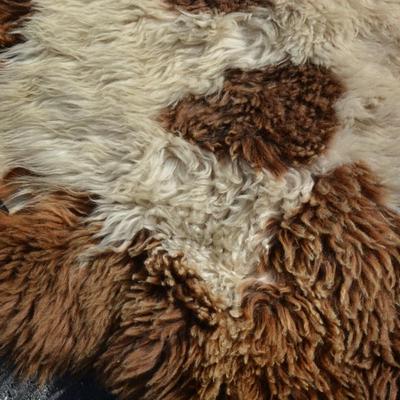 Small Multi-Colored Sheepskin Fur Rug 45â€x32â€