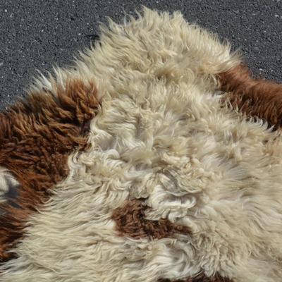 Small Multi-Colored Sheepskin Fur Rug 45â€x32â€