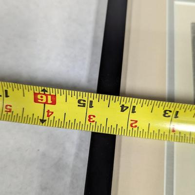 1930s Vintage Scottish Terrier Stud Malgen Dhu & His Family Photo