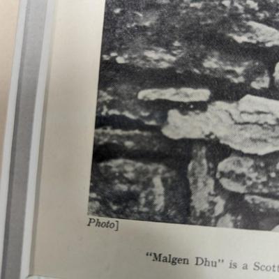 1930s Vintage Scottish Terrier Stud Malgen Dhu & His Family Photo