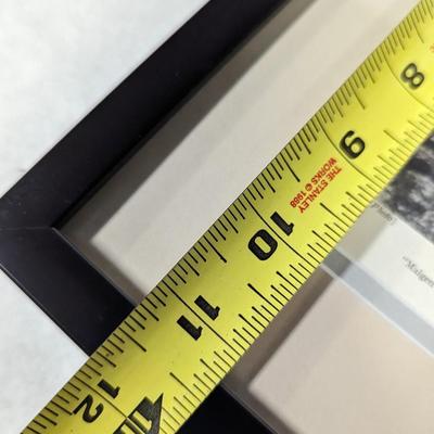 1930s Vintage Scottish Terrier Stud Malgen Dhu & His Family Photo