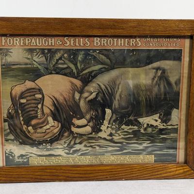 Vintage Adam Forepaugh & Sells Brothers Great Shows Consolidated Print Hippo and Rhino Framed