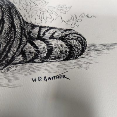 Framed W. D. Gaither Bengal Tiger Print 23 1/2" x 18"