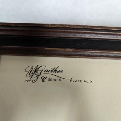 Framed W. D. Gaither Bengal Tiger Print 23 1/2" x 18"