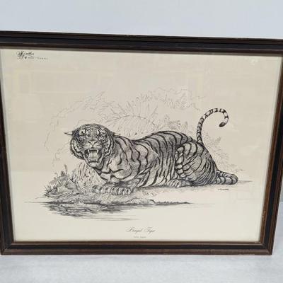 Framed W. D. Gaither Bengal Tiger Print 23 1/2" x 18"