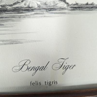 Framed W. D. Gaither Bengal Tiger Print 23 1/2" x 18"