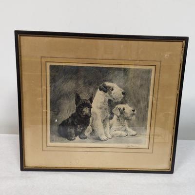 Framed Signed Terrier Print 20 1/4" x 17 3/4"