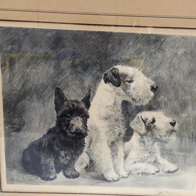 Framed Signed Terrier Print 20 1/4