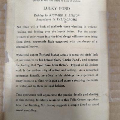 Framed "Lucky Pond" Etching By Richard Bishop 12 1/2" x 16 1/2"