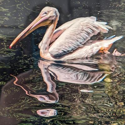 Framed Bill Richards Photo 18" x 18"