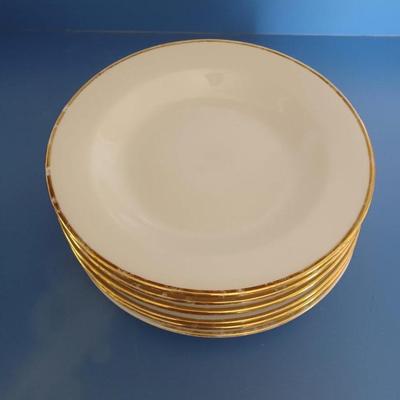 6 gold rimmed plates