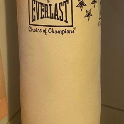 Everlast Punching Bag