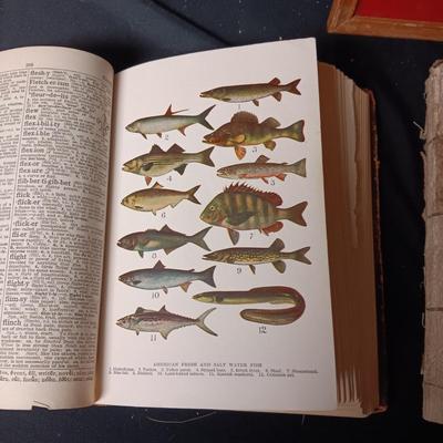 1892 PHOTOGRAPHS OF FAMOUS SCENES AND MORE