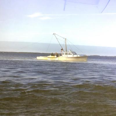 1050 Working Boats on the Bay Framed Photograph by Fred Stocker