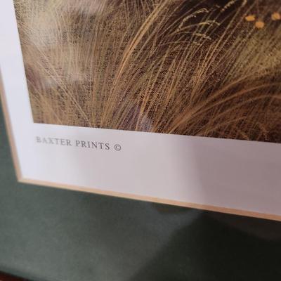 Set of 4 Framed Graeme W. Baxter Golf Prints Signed