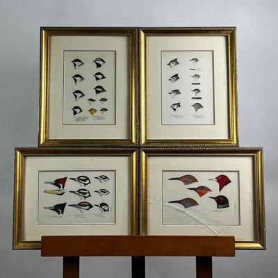 1083 Baird, Ridgeway, Brewer 4 Framed Bird Head Engravings