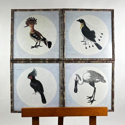 1086 Set of 4 Framed Tropical Bird Prints