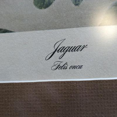 1975 John A. Ruthven Jaguar Felis onca Masterpiece Series Signed Numbered Print