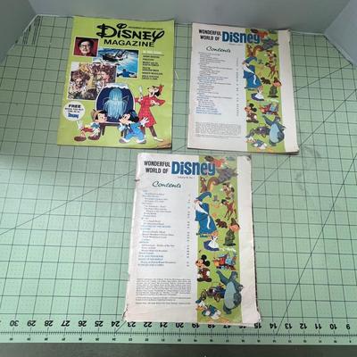 3 Wonderful World Disney Magazine