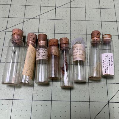 Set of Vintage Healing Herb Bottles