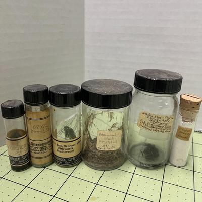 Set of Vintage Healing Herb Bottles