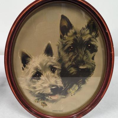 Framed Aberdeen Terriers Art