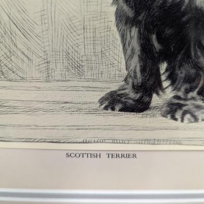 Framed Scottish Terrier Art 15" x 12"