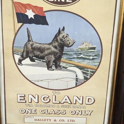 Vintage Travel Advertising Poster for Aberdeen & Commonwealth Line to England Framed 22 1/4