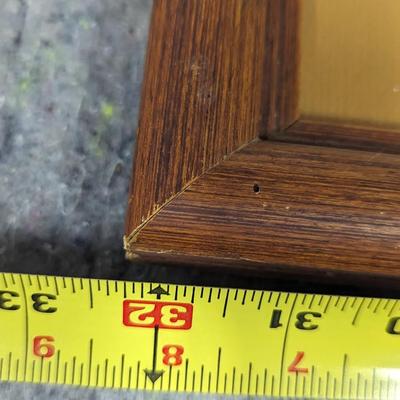 Framed T. H. Farnsworth, Wildlife Print, Tiger Signed & Numbered