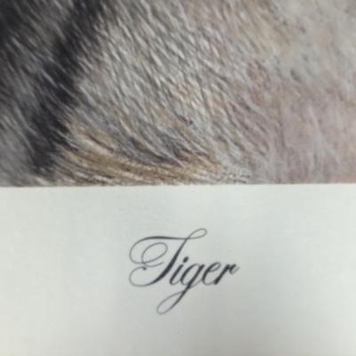 Framed T. H. Farnsworth, Wildlife Print, Tiger Signed & Numbered