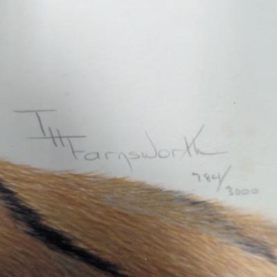 Framed T. H. Farnsworth, Wildlife Print, Tiger Signed & Numbered