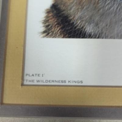 Framed T. H. Farnsworth, Wildlife Print, Tiger Signed & Numbered