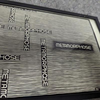 Framed Metamorphose Art 8 3/4" x 41 1/8"