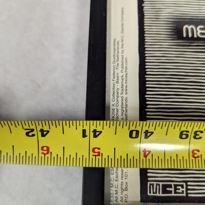 Framed Metamorphose Art 8 3/4" x 41 1/8"