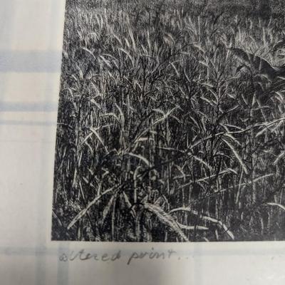 Framed Signed Print 20 1/2" x 16 3/4"