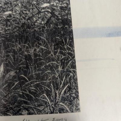 Framed Signed Print 20 1/2" x 16 3/4"