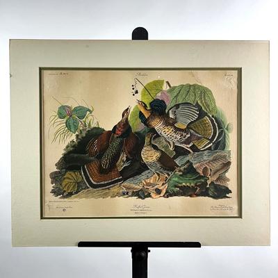 1099 Limited Edition Ruffed Grouse Lithograph by John J. Audubon
