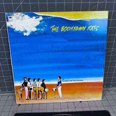 (2) Boomtown Rats Albums 