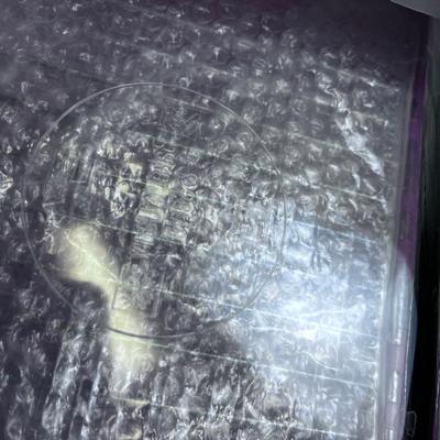 9 x 13 Baking Glass, Dish with Plastic Lid 