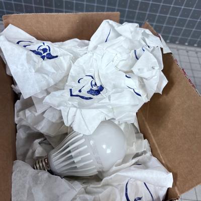 Brand New LED Light Bulbs (5) 
