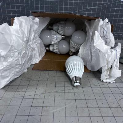 Brand New LED Light Bulbs (5) 