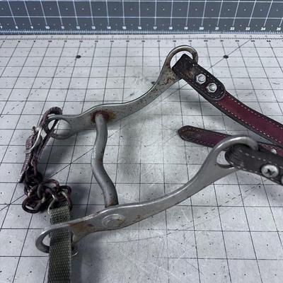 Horse Bit 