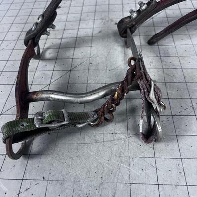 Horse Bit 