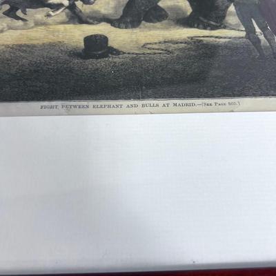 Harpers Weekly Framed Lithograph Dated 1871 Flight Between Elephant and Bull