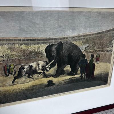 Harpers Weekly Framed Lithograph Dated 1871 Flight Between Elephant and Bull