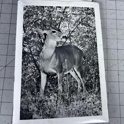 UTAH Sportsman's Log, Detailed Map Set