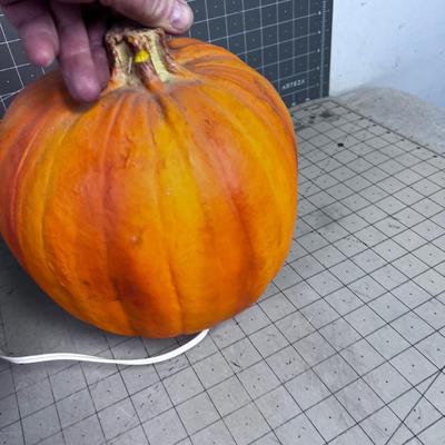 Jack-O-lanterns 