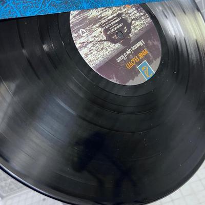Pink Floyd  MOMENTARY LAPS OF REASON 